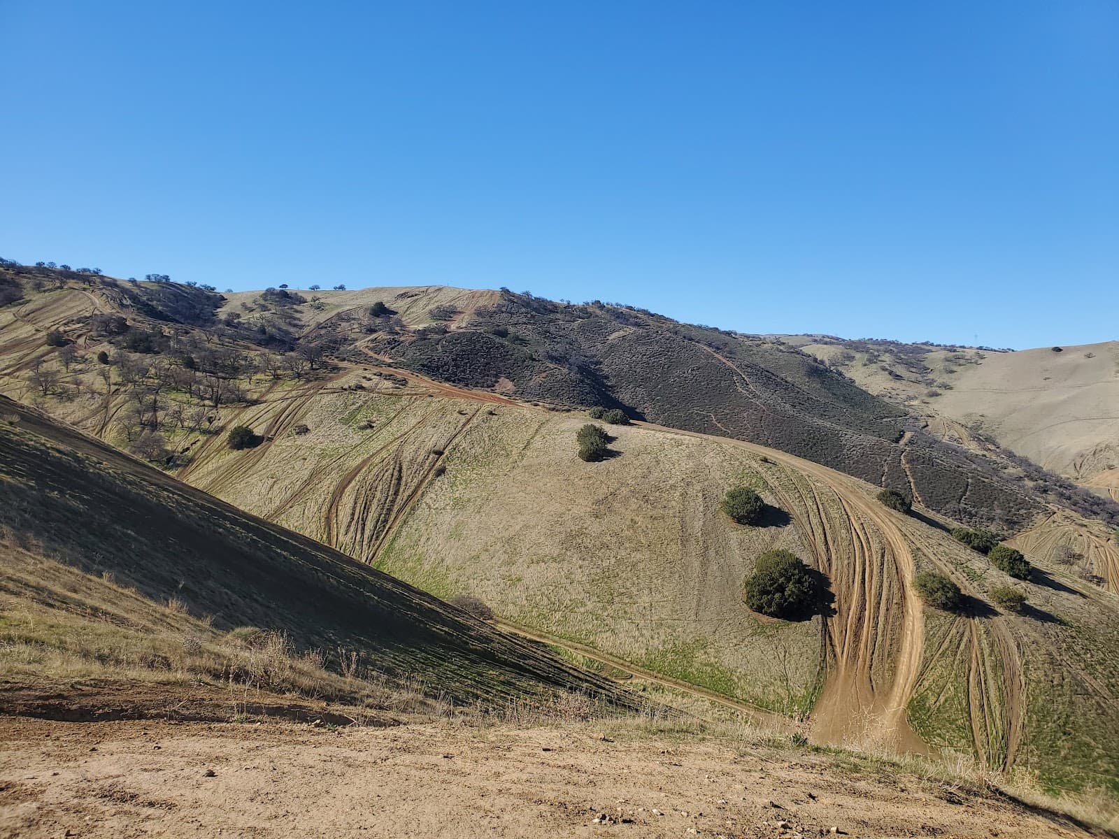 Carnegie State Vehicular Recreation Area