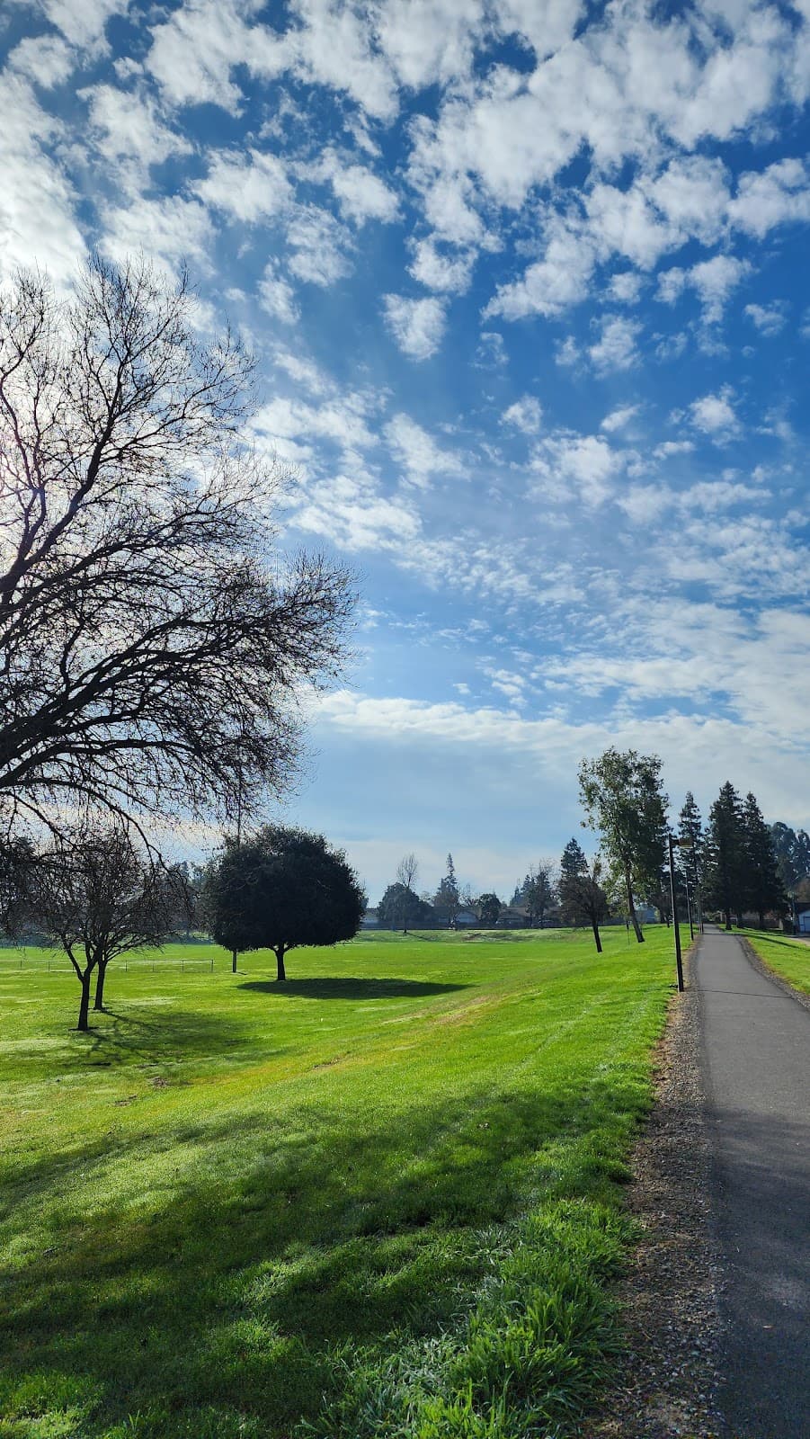 Castleberg Park
