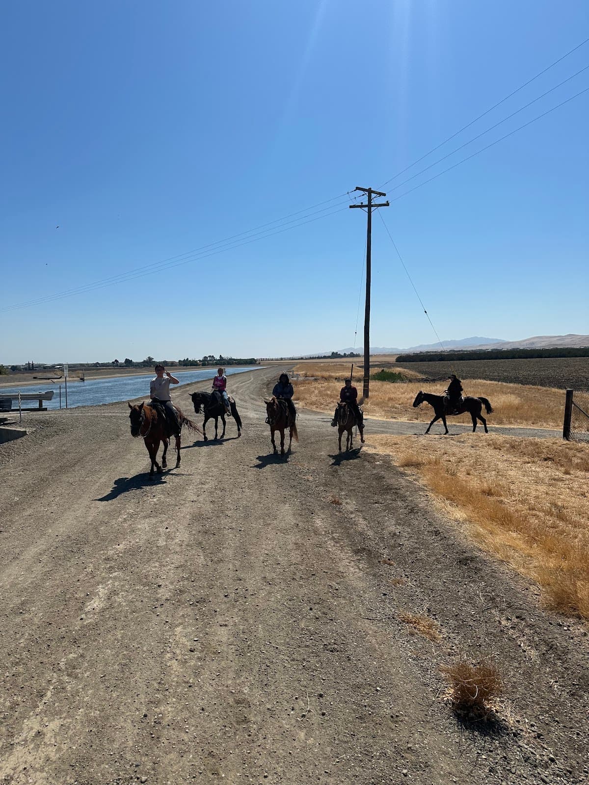 Cowboy Trail Rides