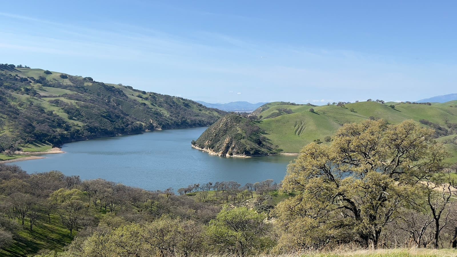 Del Valle Regional Park