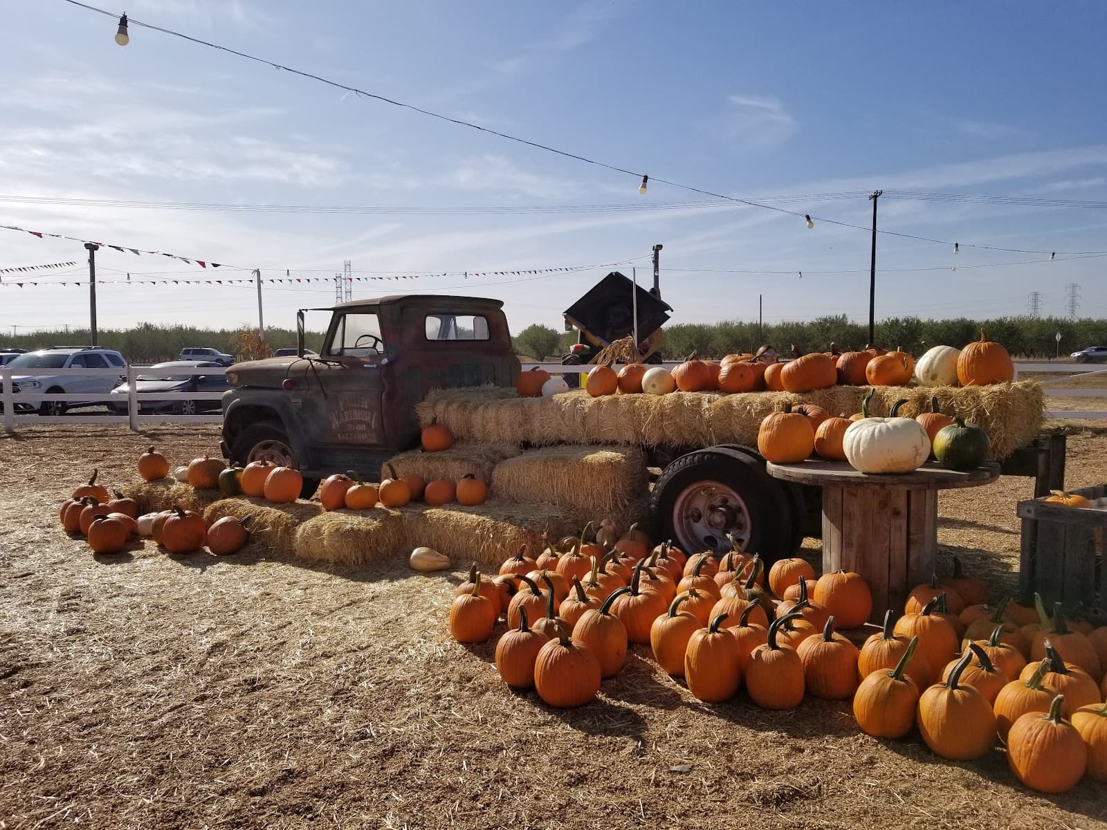 Dutch Hollow Farms