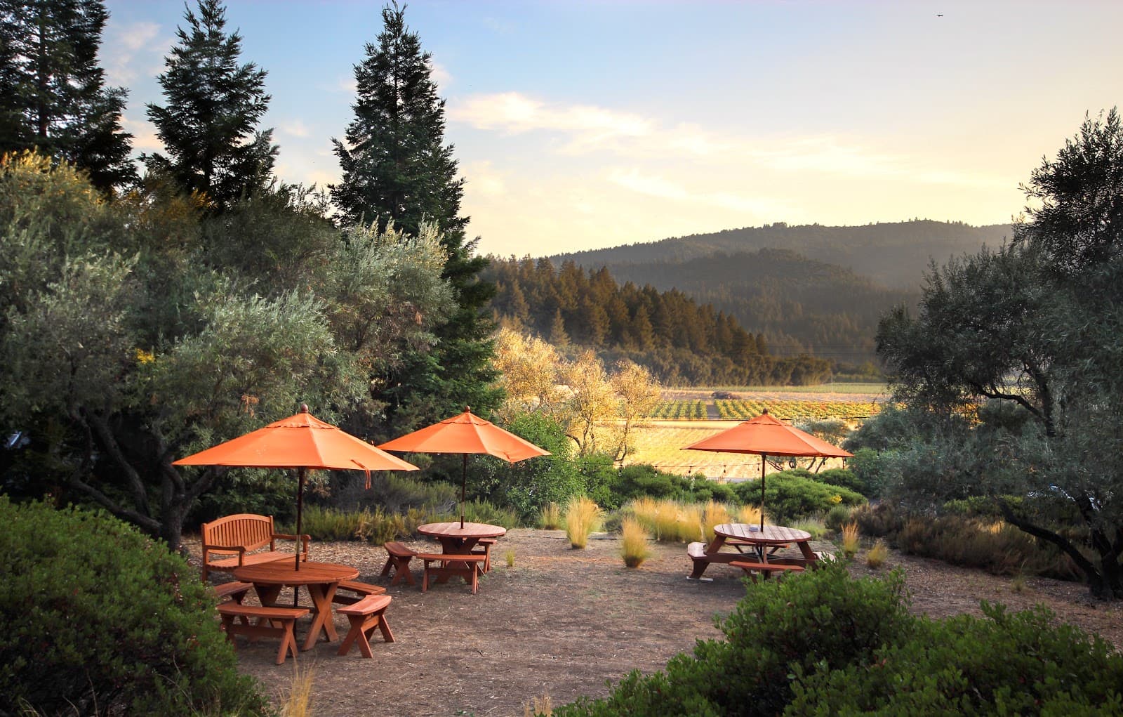 Fairwinds Estate Winery