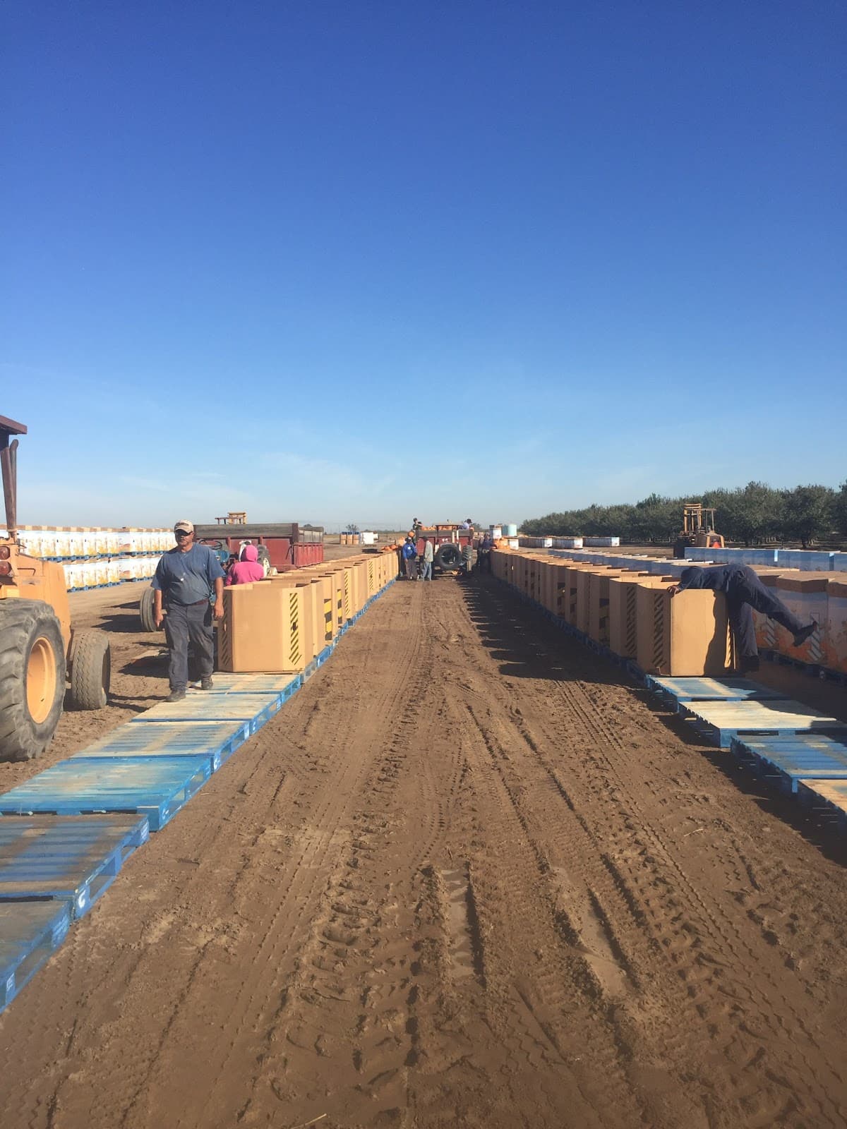 Fonseca Farms