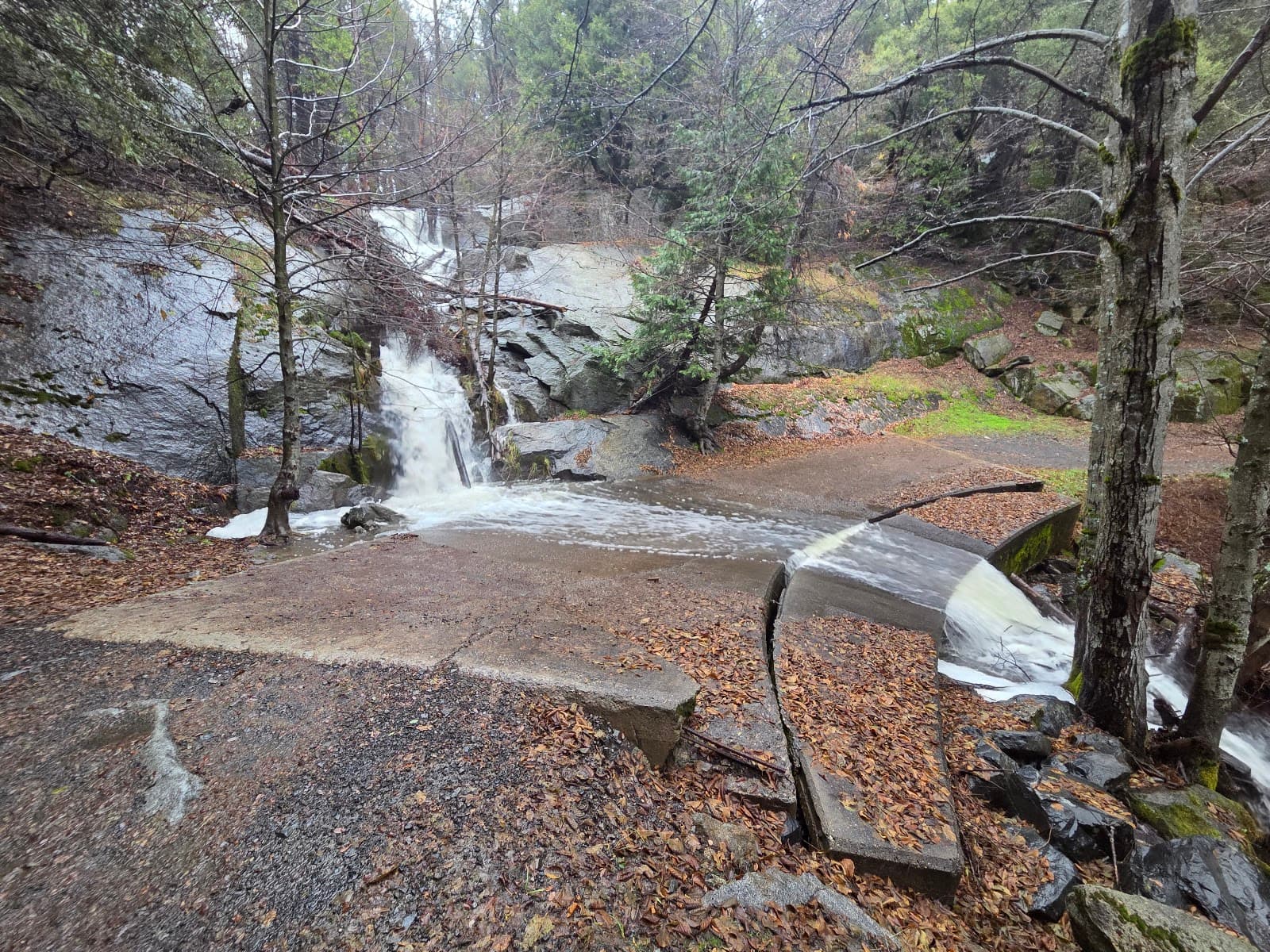 Henry Falls