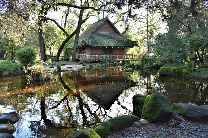 Japanese Garden in Micke Grove Park