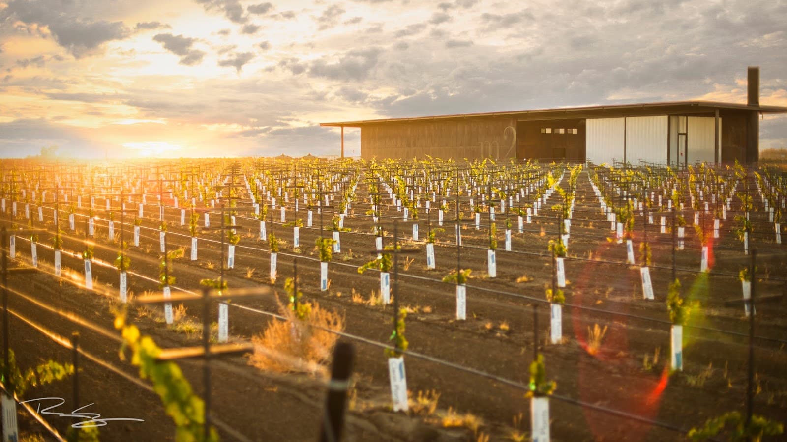 m2 Wines