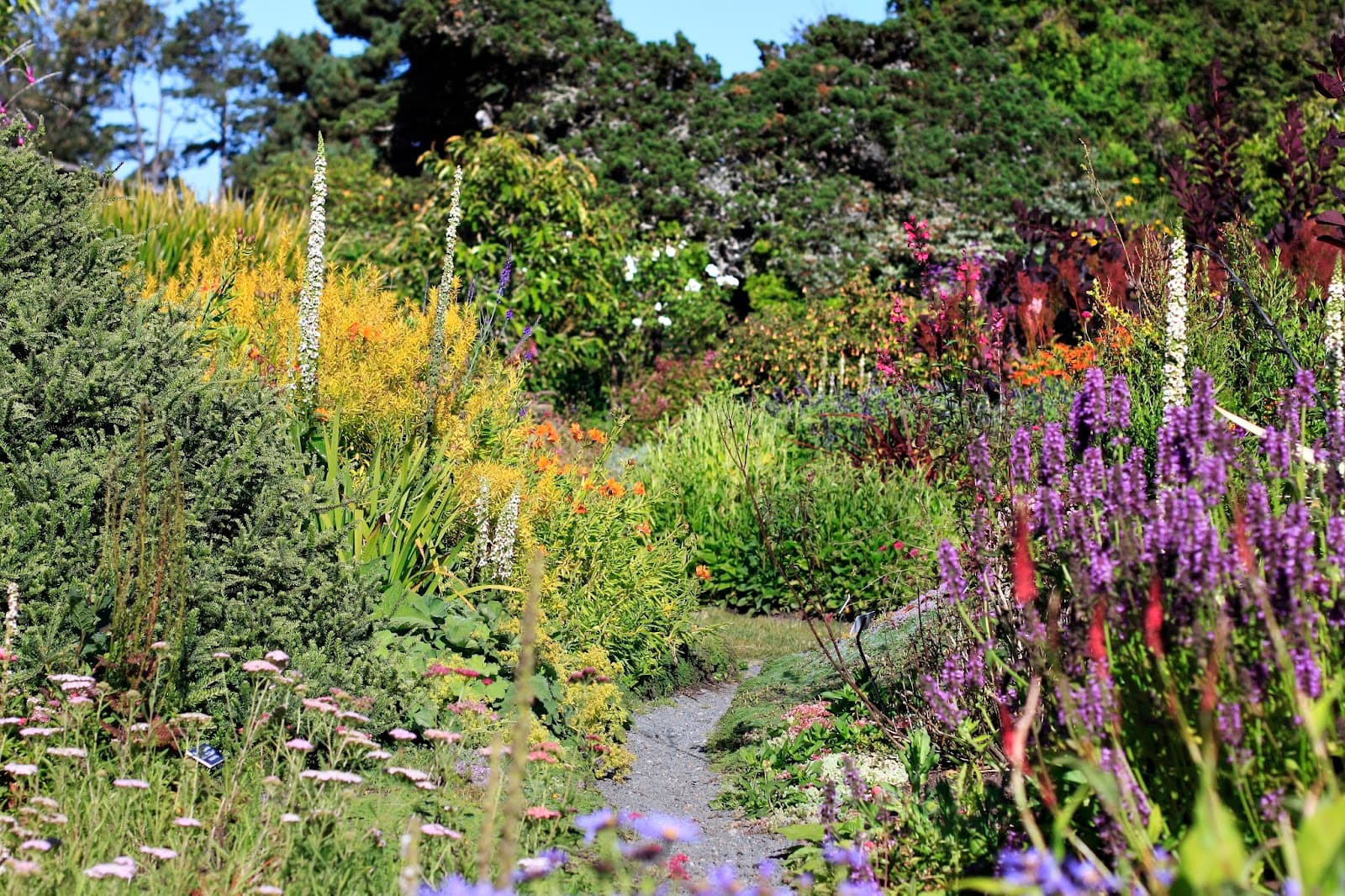 Mendocino Coast Botanical Gardens