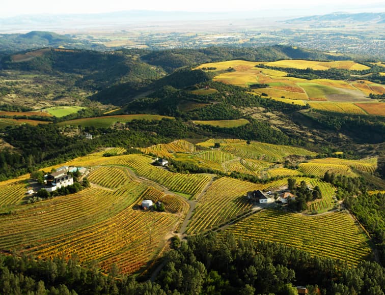 Mountain Terraces Winery and Vineyard