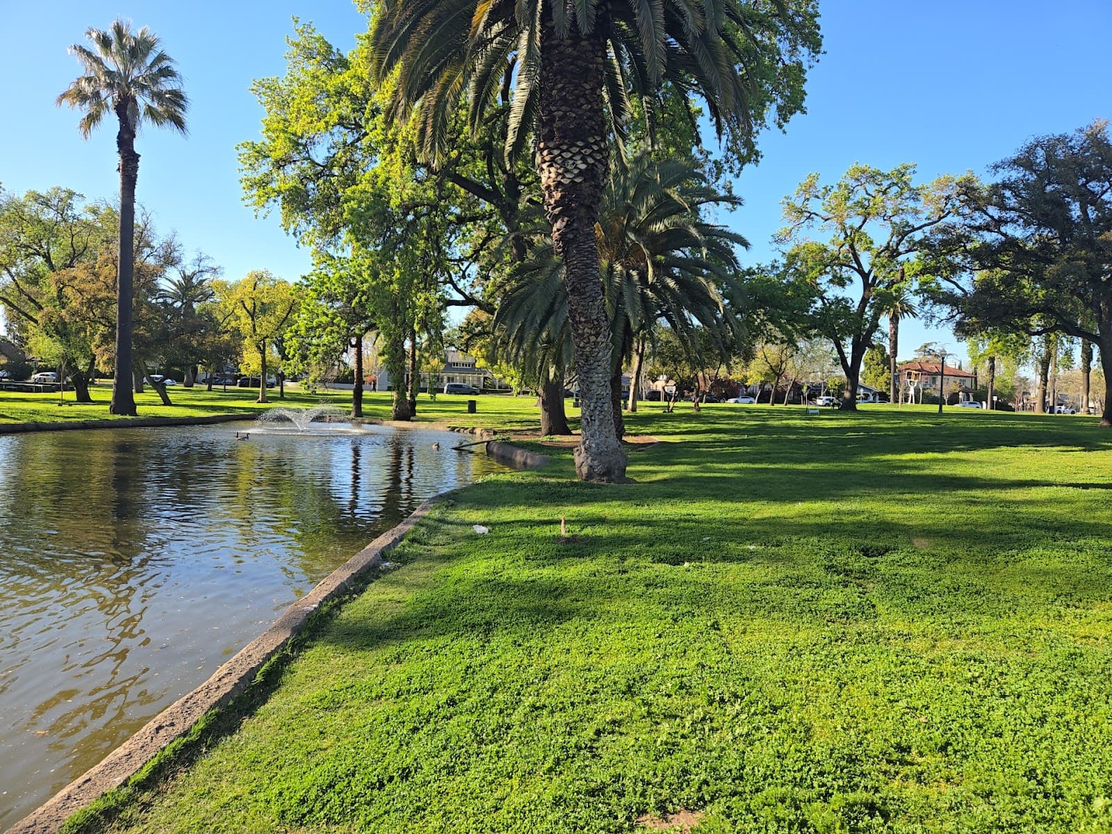 Rose Garden at Victory Park