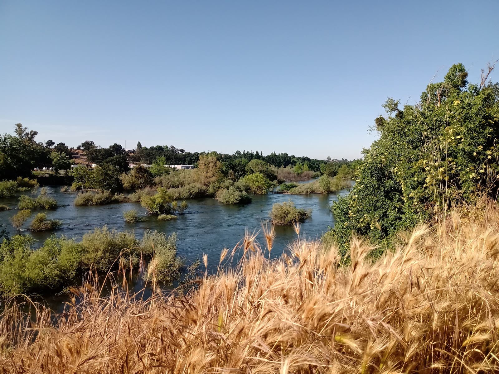 S. Reinway Park & Trailhead