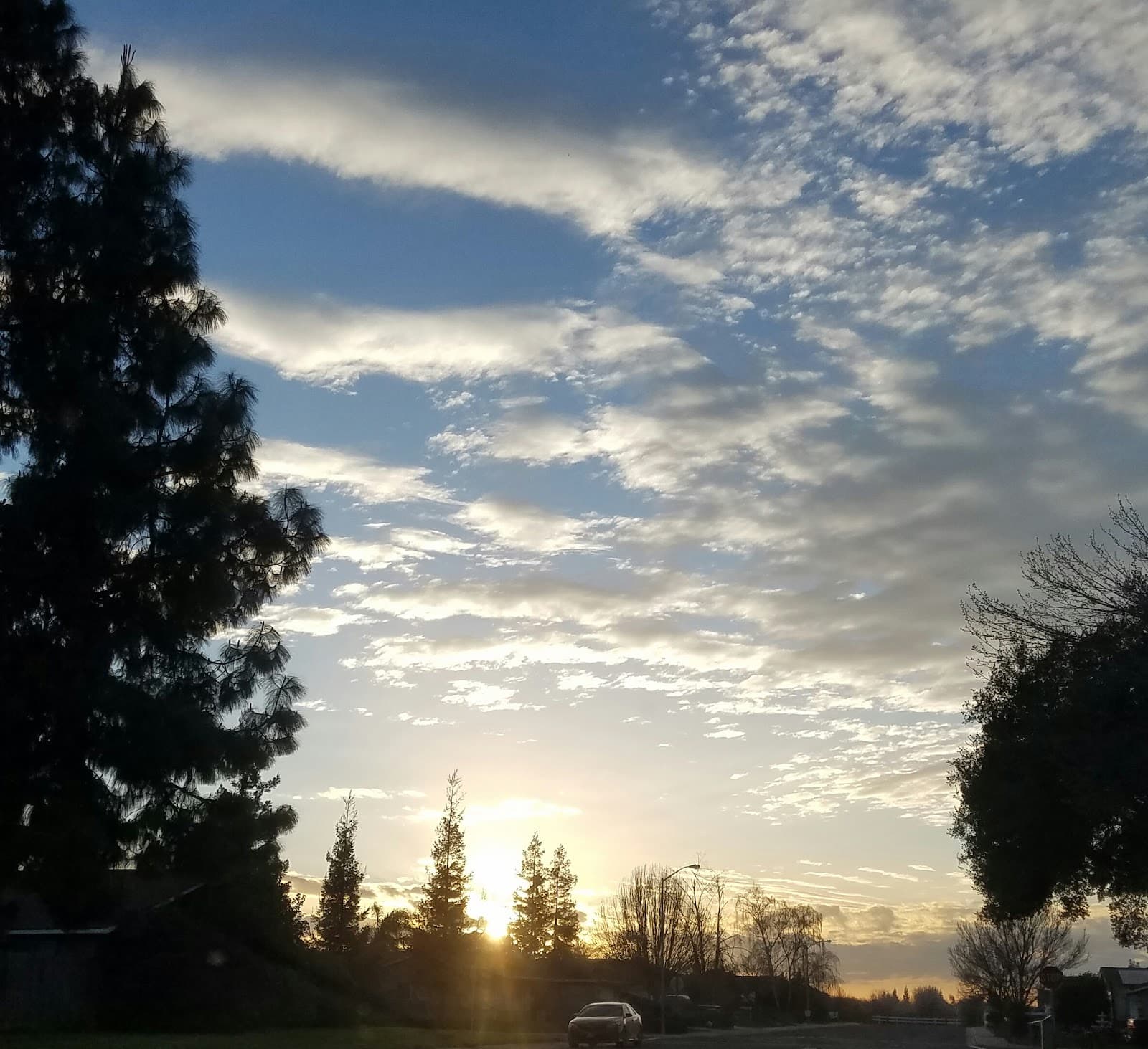 Sanchez Park