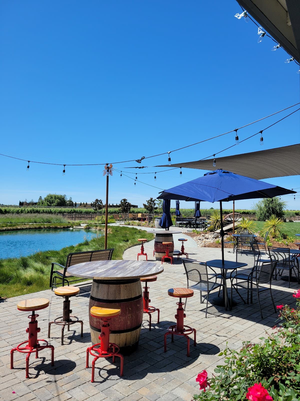 Serendipity Cellars