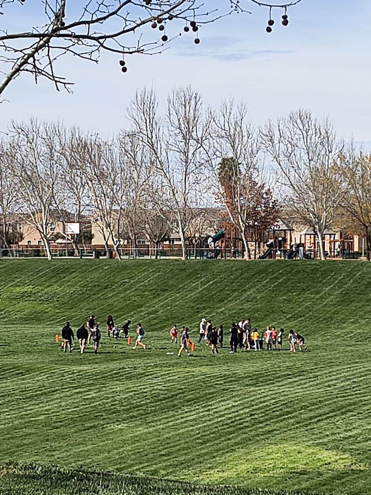 Silva Park