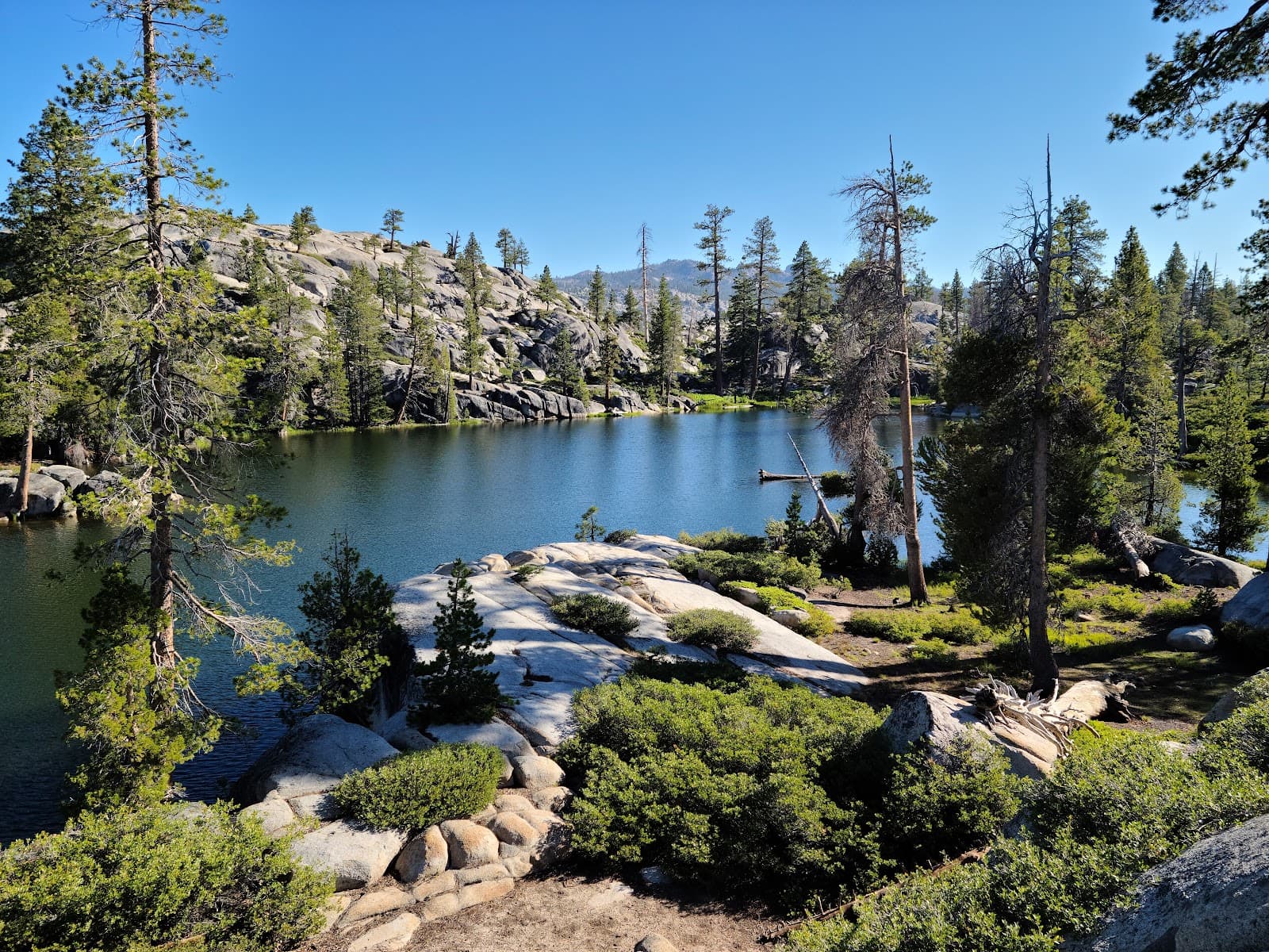 Stanislaus National Forest