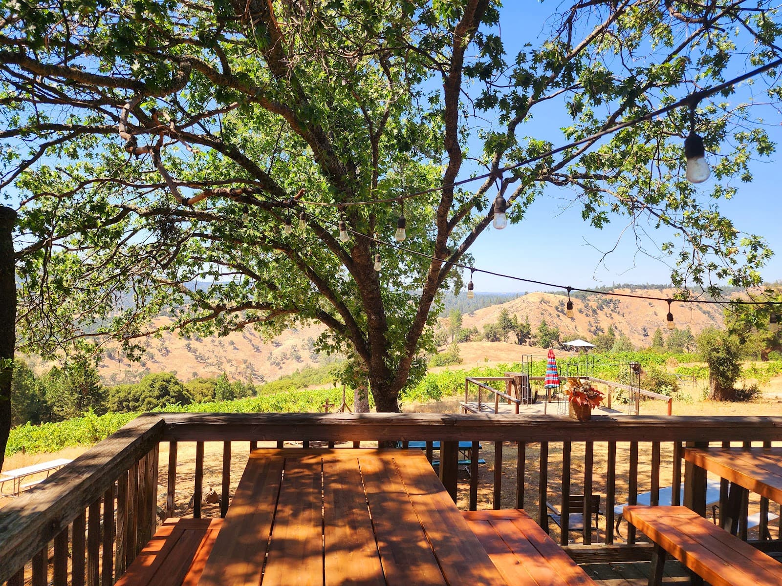 Story Winery