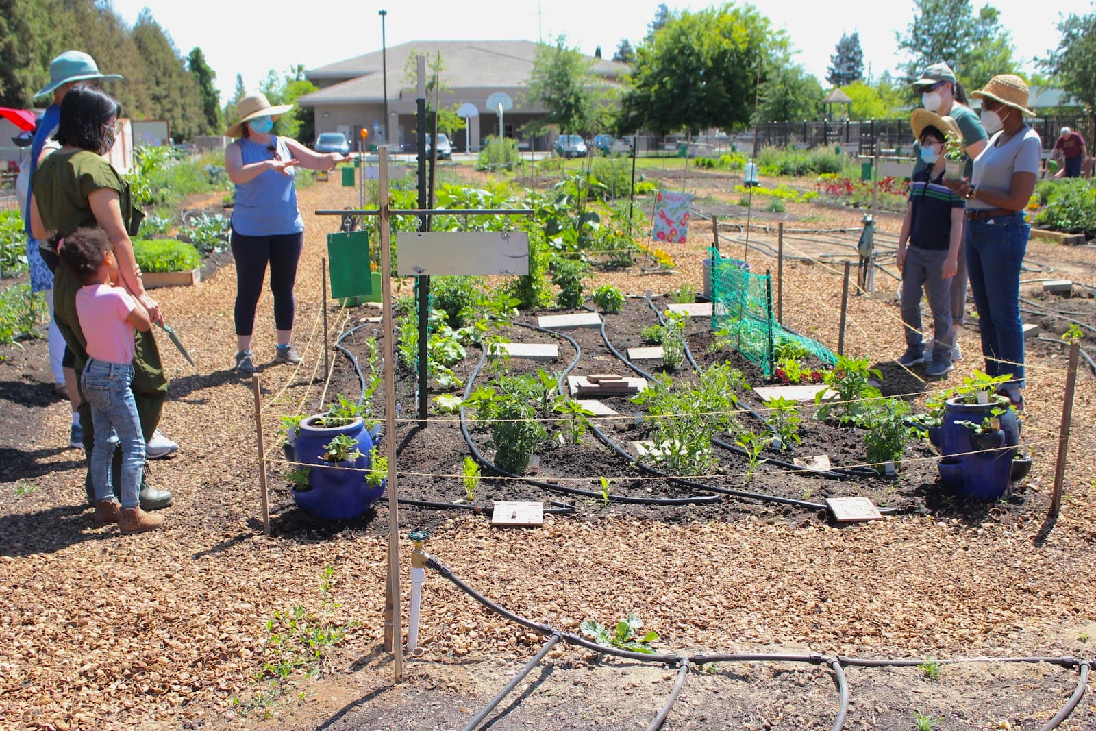 Turlock Community Gardens