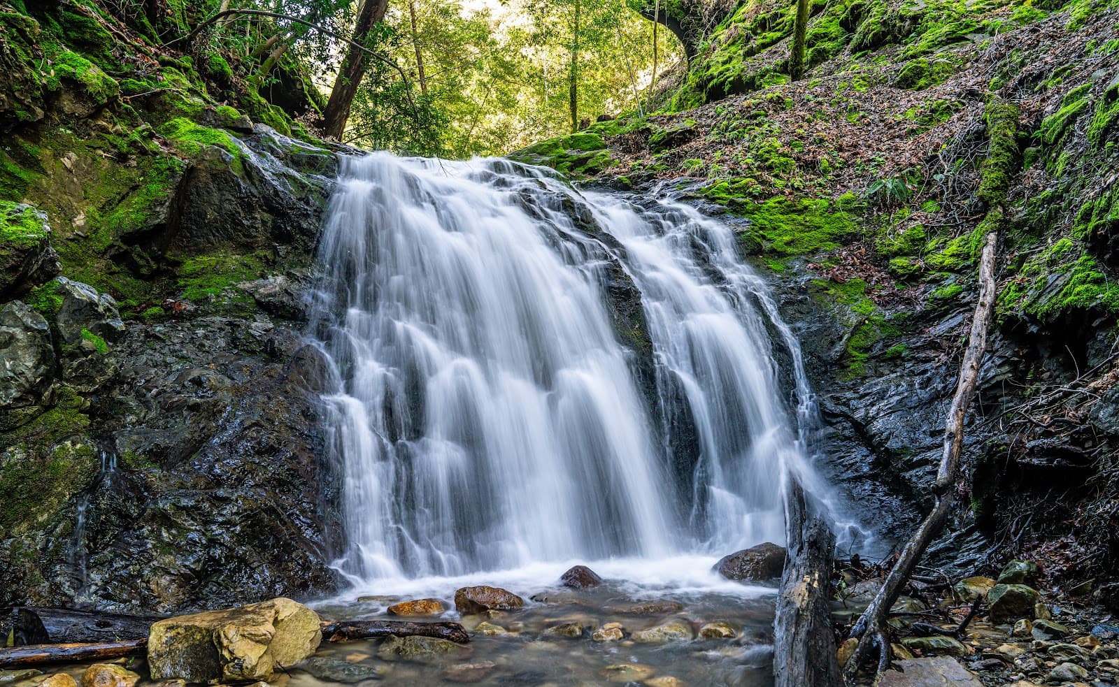 Uvas Canyon County Park