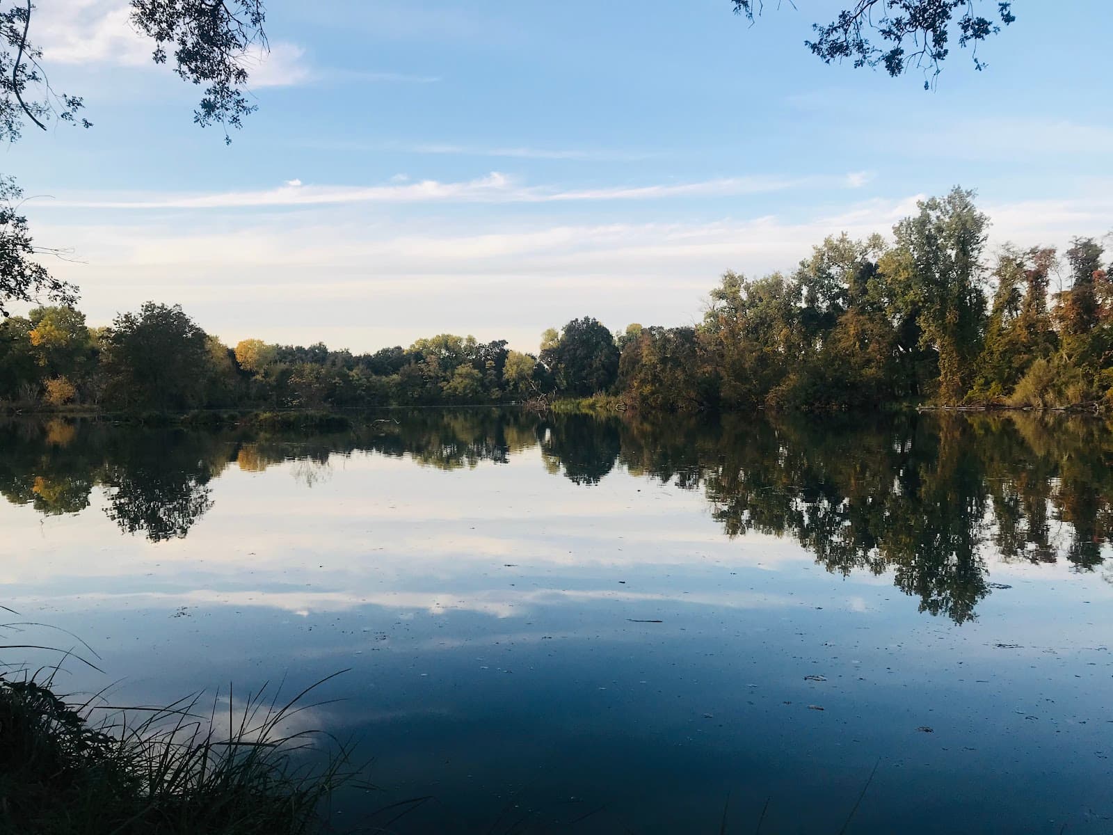 Lodi Lake Nature Area Tour